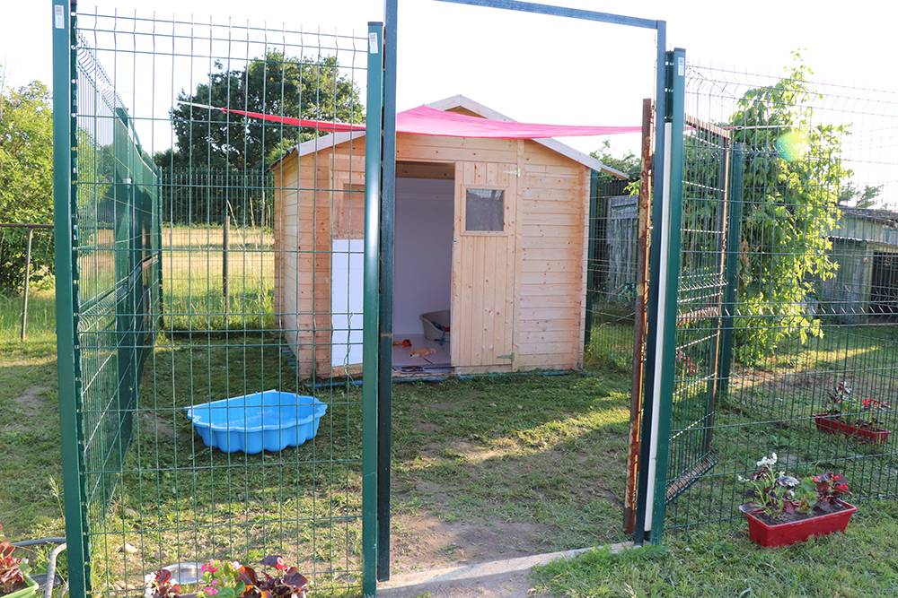 garderie chien à Saint-Denis-de-Pile
